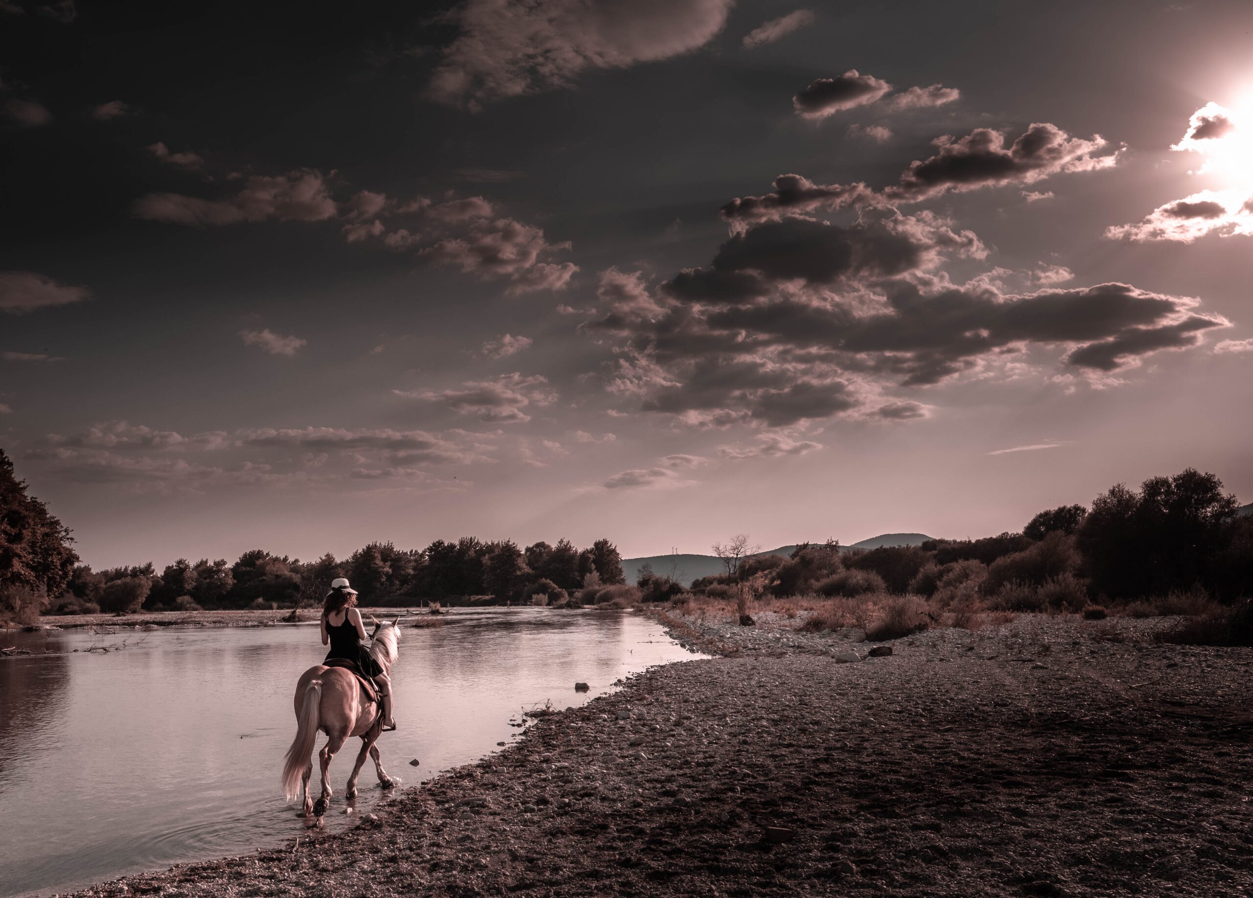atlantios horse 5478605